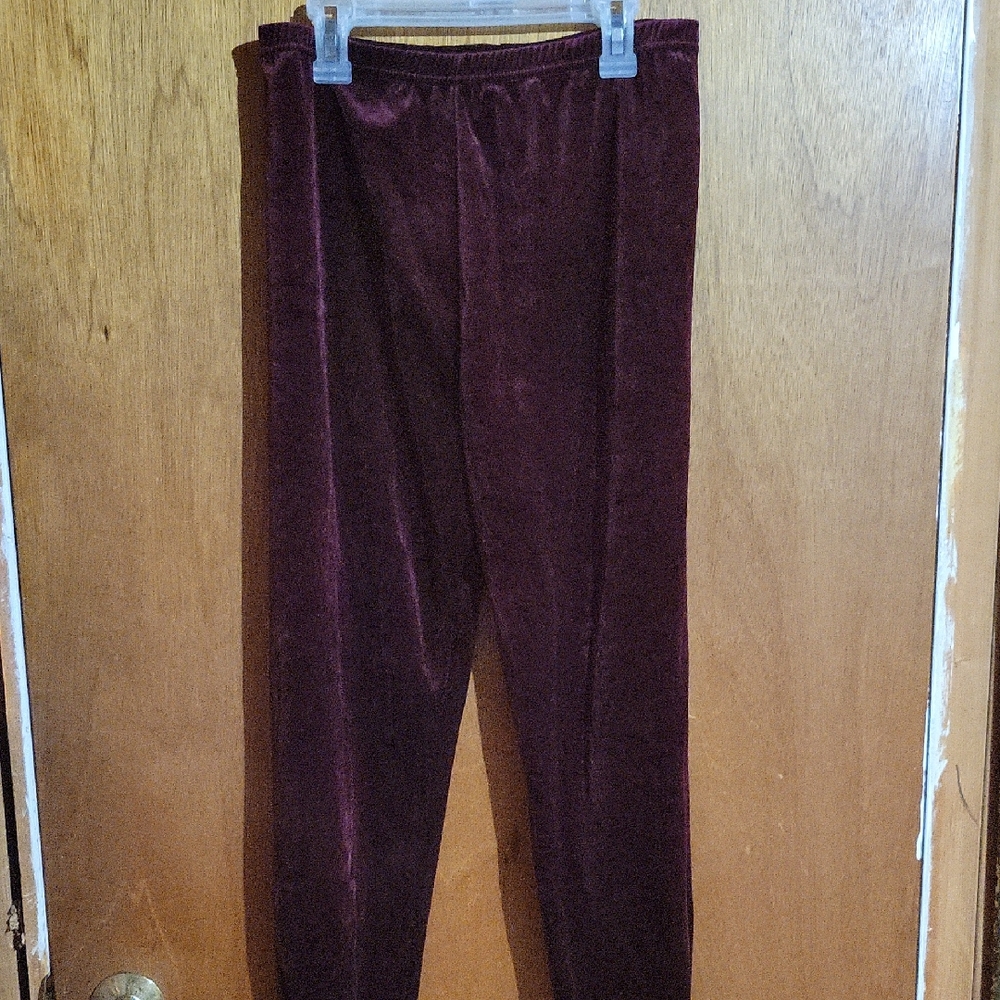 Rich Burgundy Plush Velvet Pants